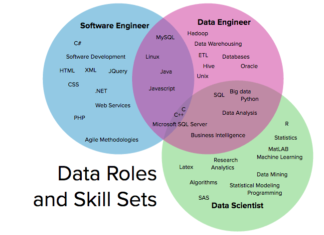 Data Roles and Skills set information in circles