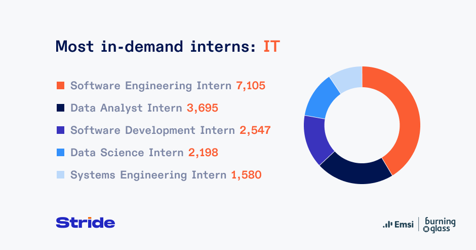 Pie showing most in-demand IT interns